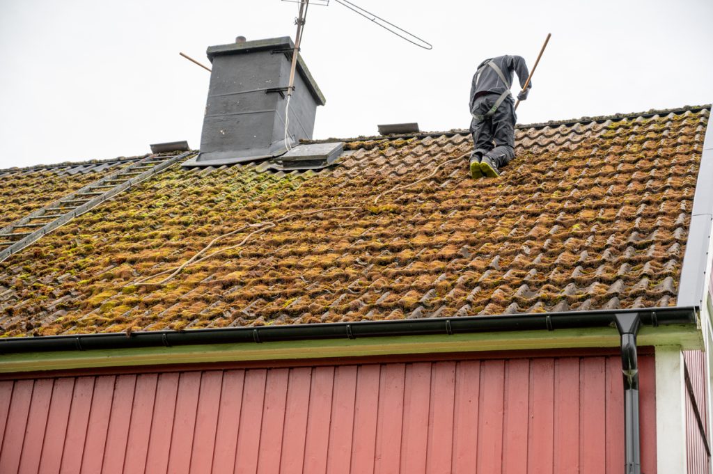 Workers cleaning roof tiles covered in moss